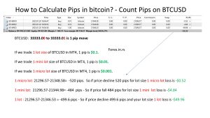 how to calculate bitcoin pips
