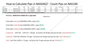 how to calculate nas100 pips
