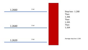risk management example