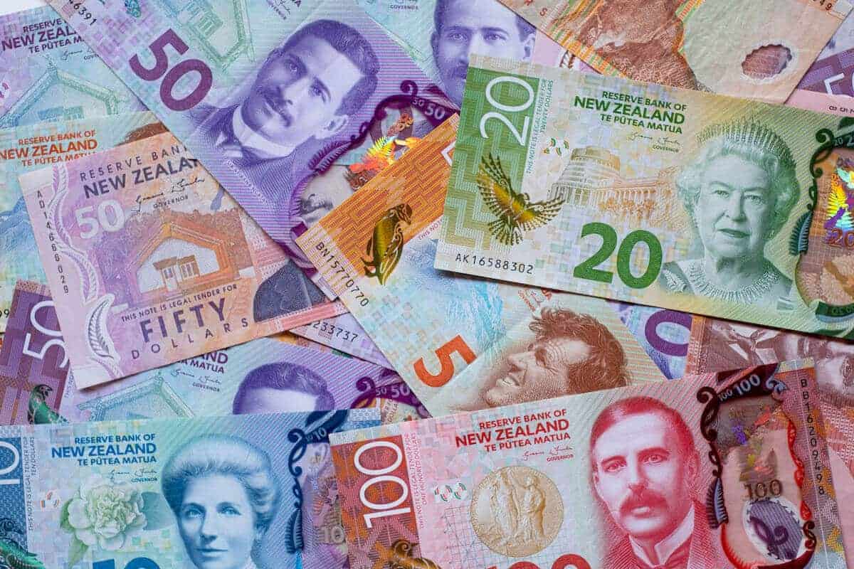 nzd notes
